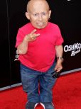 Verne Troyer