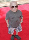 Verne Troyer