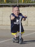 Verne Troyer