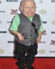 Verne Troyer