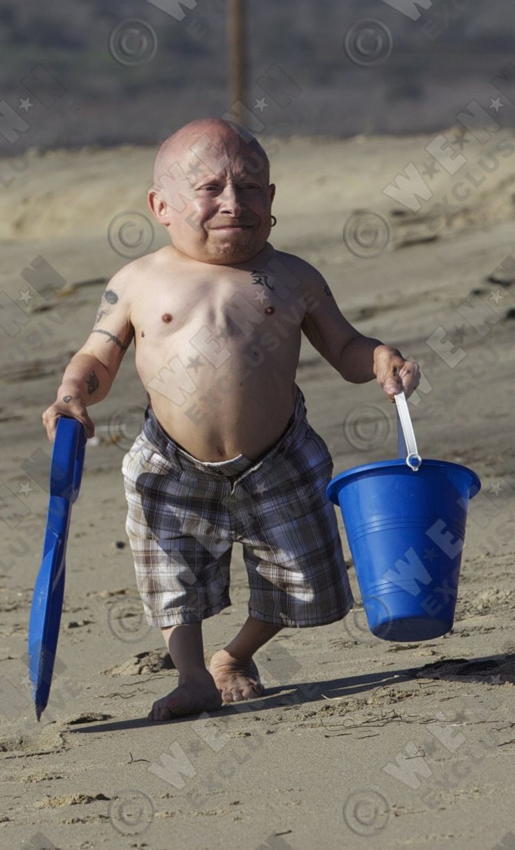 Verne Troyer