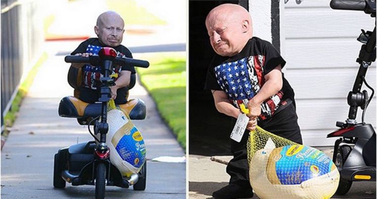 Verne Troyer