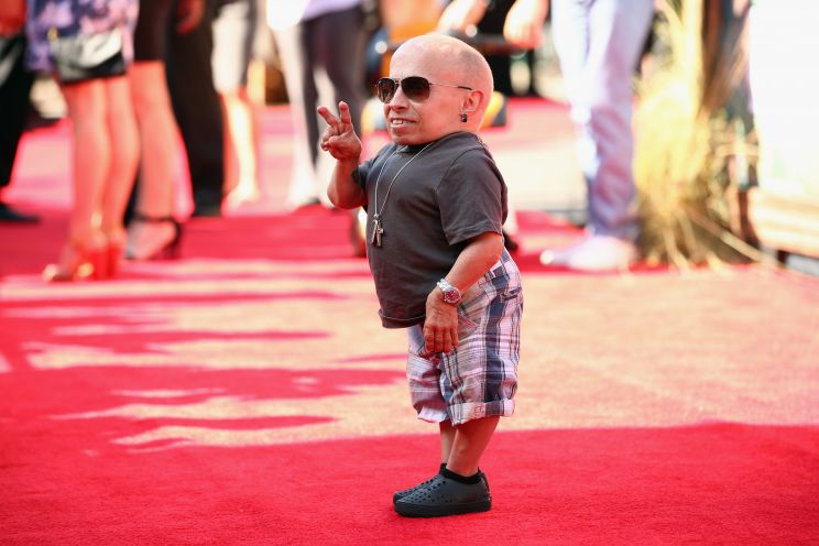 Verne Troyer