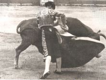 Veronica Belmonte