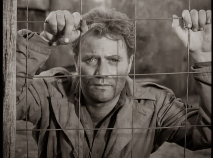 Vic Morrow