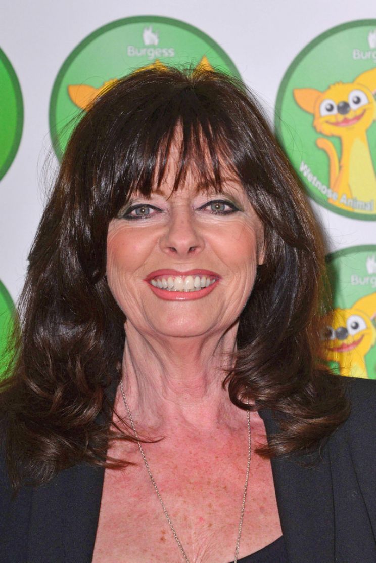Vicki Michelle