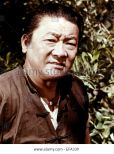 Victor Sen Yung