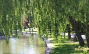 Victoria Park