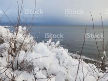 Victoria Snow