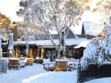 Victoria Snow