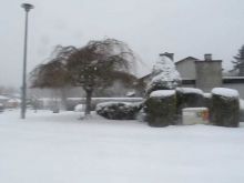 Victoria Snow
