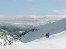 Victoria Snow