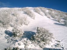 Victoria Snow
