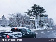 Victoria Snow
