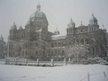 Victoria Snow
