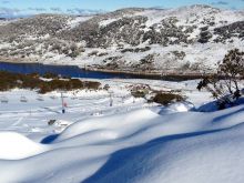 Victoria Snow