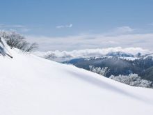 Victoria Snow