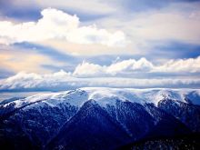 Victoria Snow