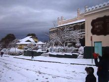 Victoria Snow