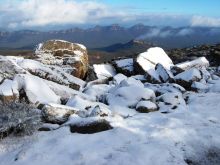 Victoria Snow