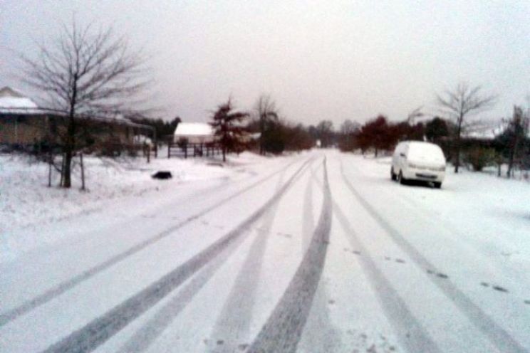 Victoria Snow