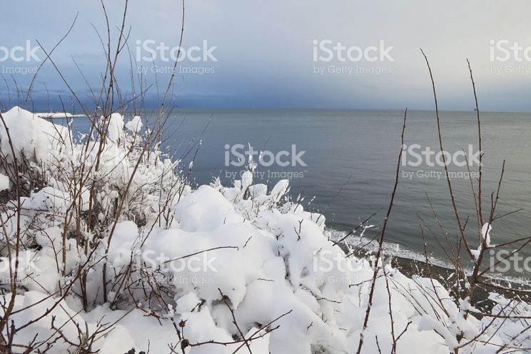 Victoria Snow