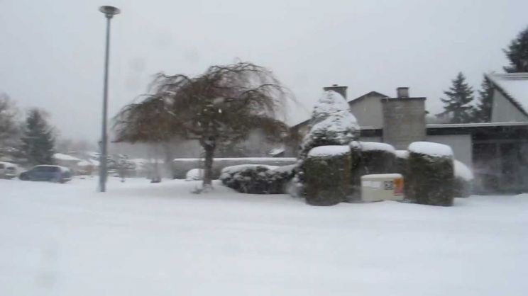 Victoria Snow