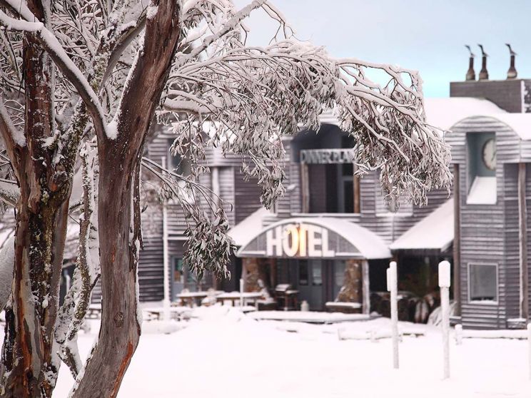 Victoria Snow
