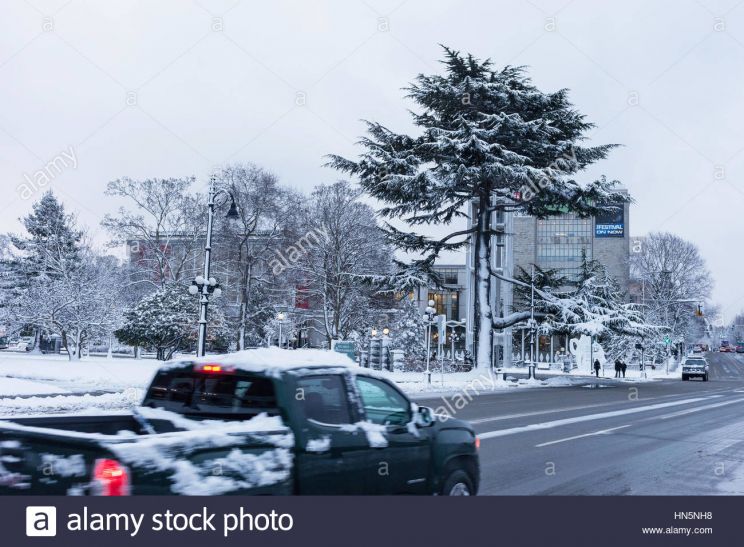 Victoria Snow