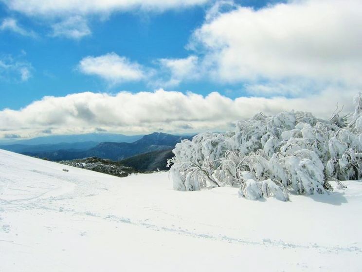 Victoria Snow
