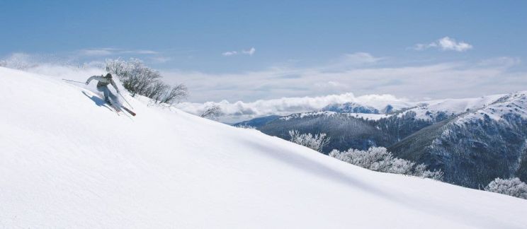 Victoria Snow