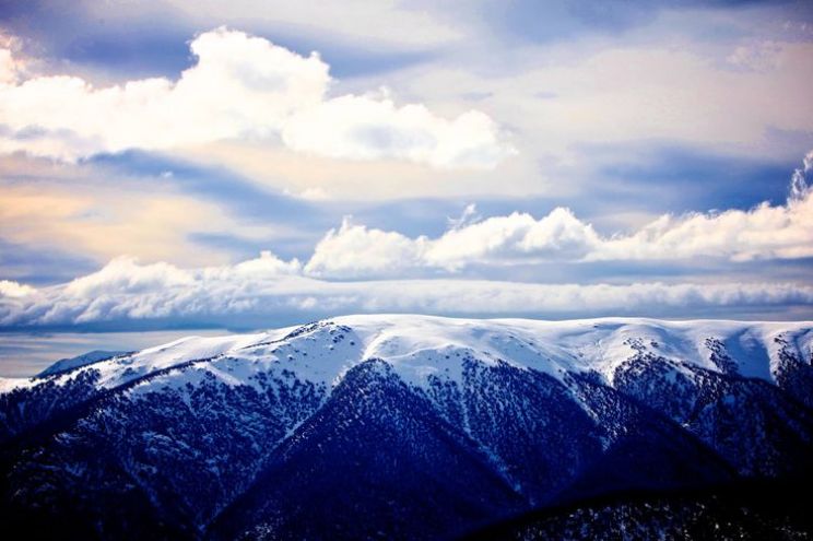 Victoria Snow