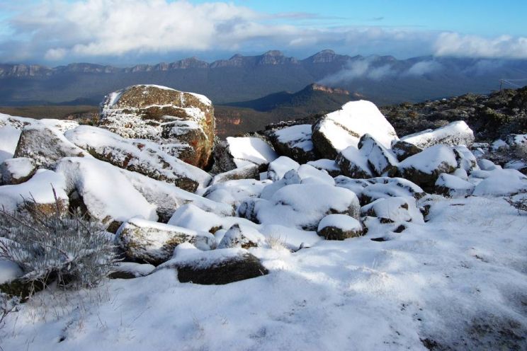 Victoria Snow
