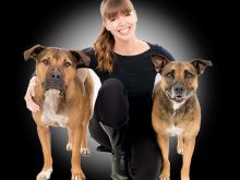 Victoria Stilwell