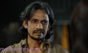 Vijay Raaz