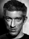 Vincent Cassel