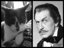 Vincent Price