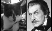 Vincent Price