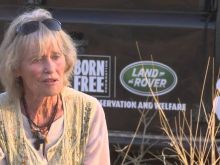 Virginia McKenna