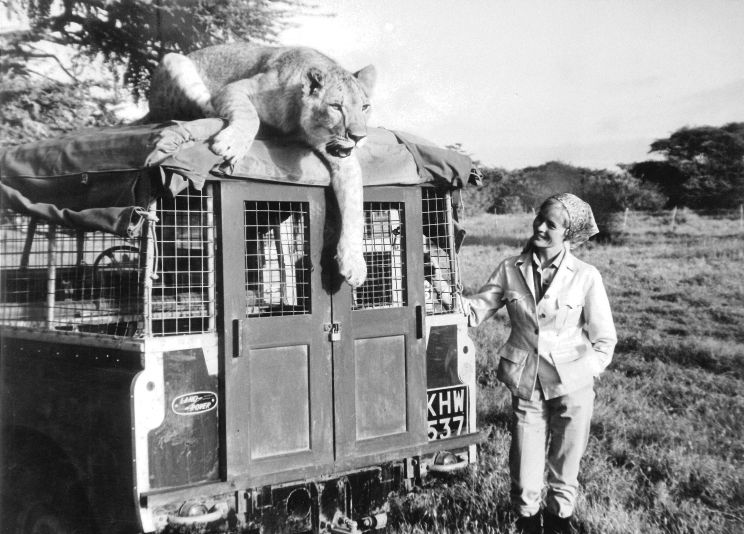 Virginia McKenna