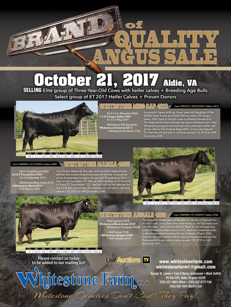 Virginia Sale