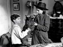 Virginia Weidler