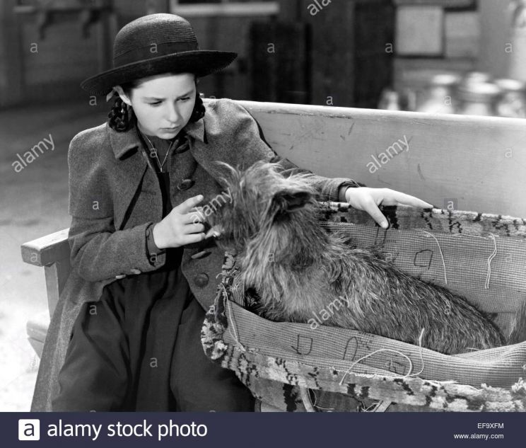 Virginia Weidler