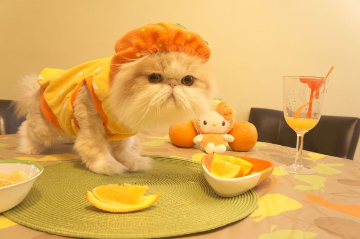 Vitamin C