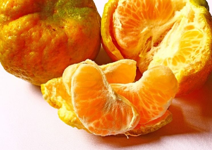 Vitamin C