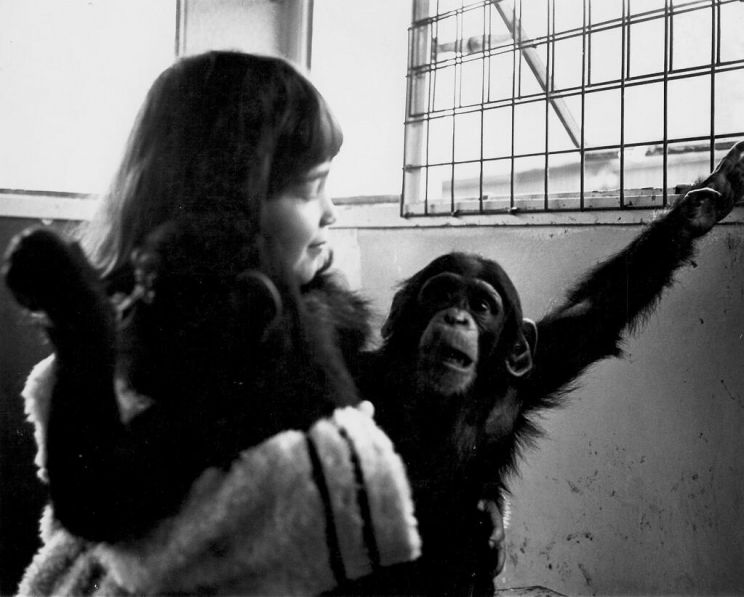 Vivian Kubrick