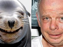 Wallace Shawn