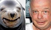 Wallace Shawn