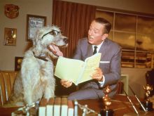 Walt Disney