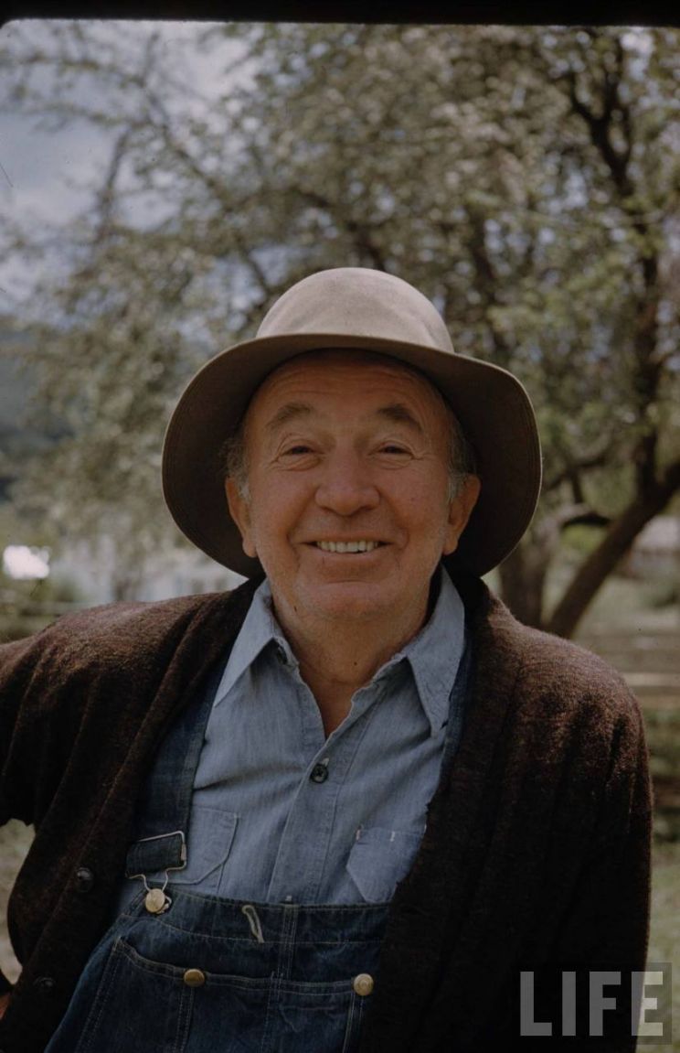 Walter Brennan